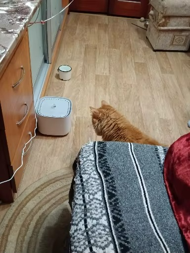 <h2>Loved by everyone, everywhere. Don't miss out.</h2>