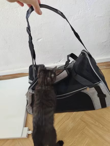 <h2>Loved by everyone, everywhere. Don't miss out.</h2>