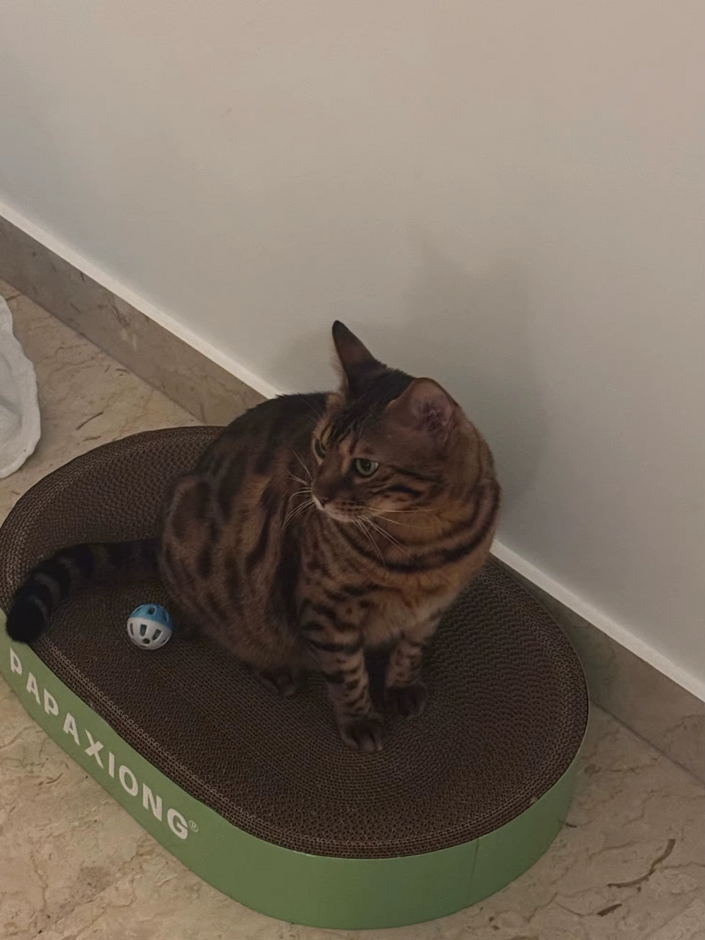 <h2>Loved by everyone, everywhere. Don't miss out.</h2>