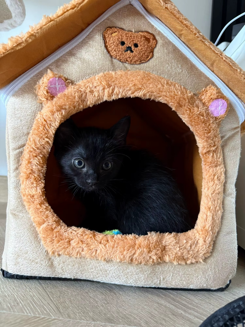 <h2>Loved by everyone, everywhere. Don't miss out.</h2>