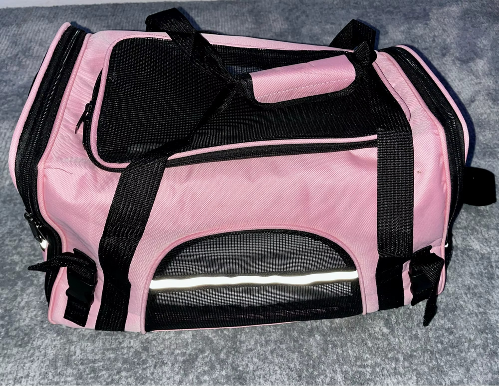 <h2>Loved by everyone, everywhere. Don't miss out.</h2>