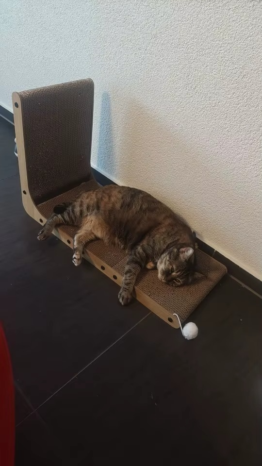 <h2>Loved by everyone, everywhere. Don't miss out.</h2>