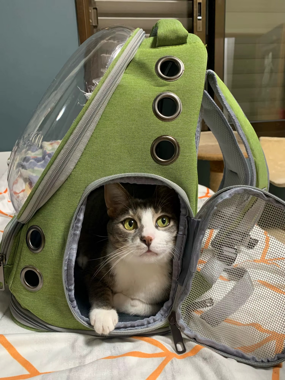 <h2>Loved by everyone, everywhere. Don't miss out.</h2>