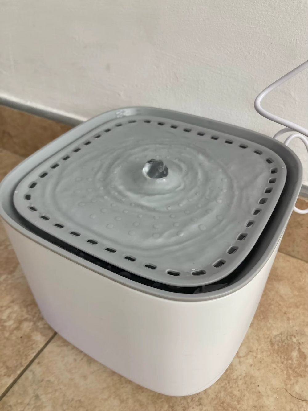 <h2>Loved by everyone, everywhere. Don't miss out.</h2>