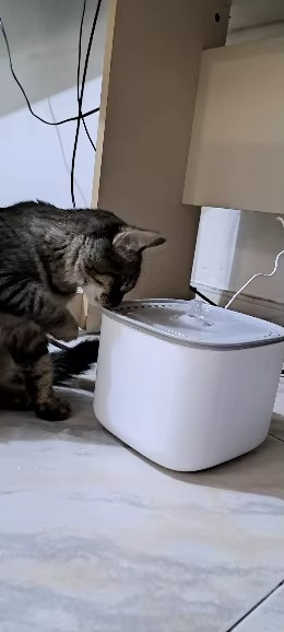 <h2>Loved by everyone, everywhere. Don't miss out.</h2>