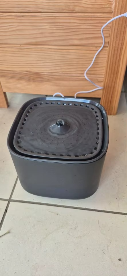 <h2>Loved by everyone, everywhere. Don't miss out.</h2>