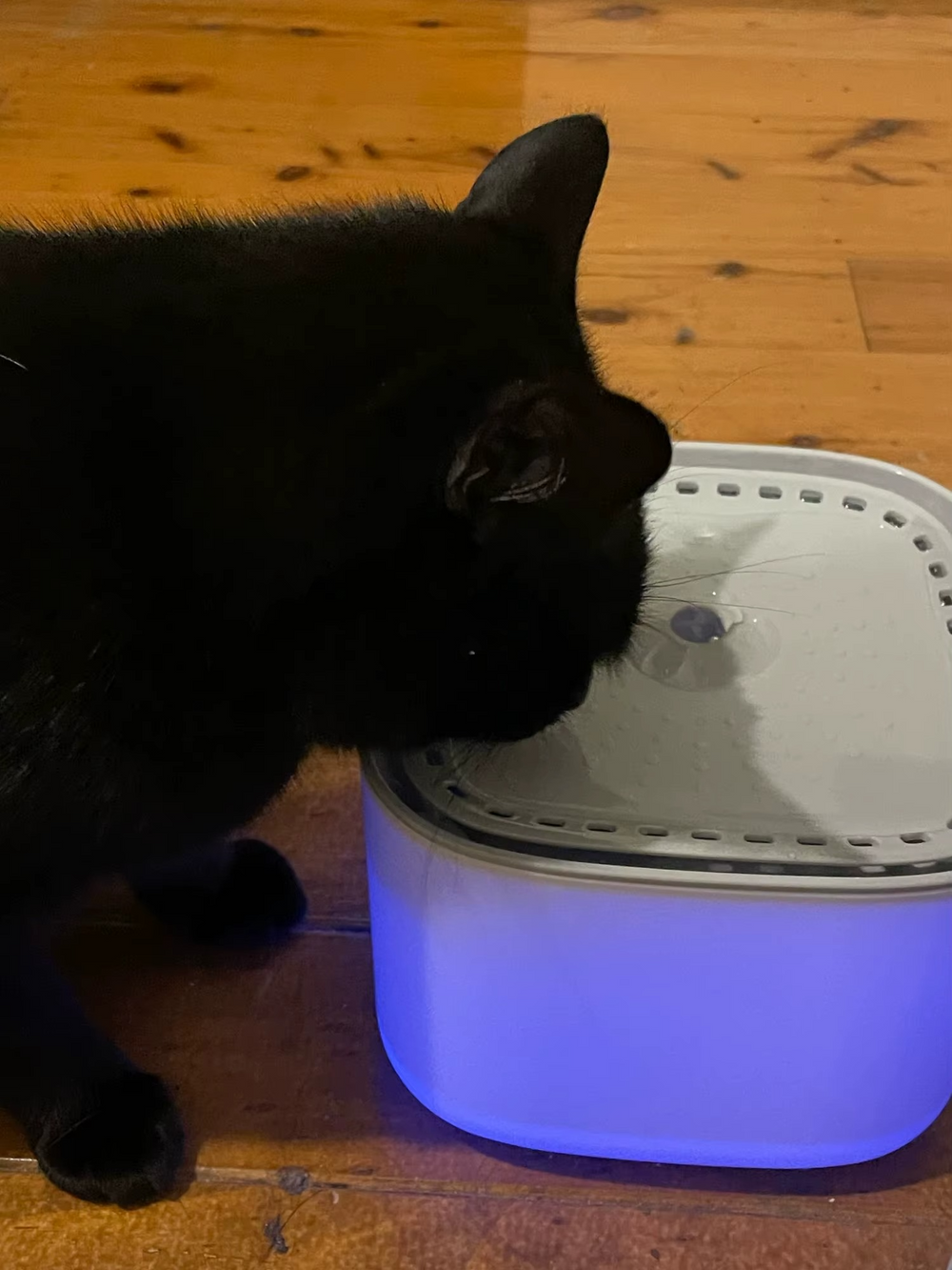 <h2><strong>Loved by everyone, everywhere. Don't miss out.</strong></h2>