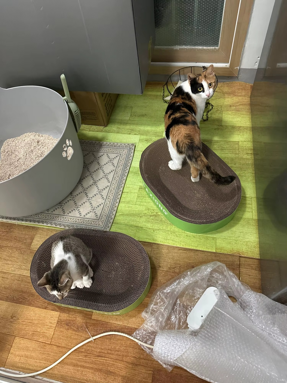 <h2><strong>Loved by everyone, everywhere. Don't miss out.</strong></h2>