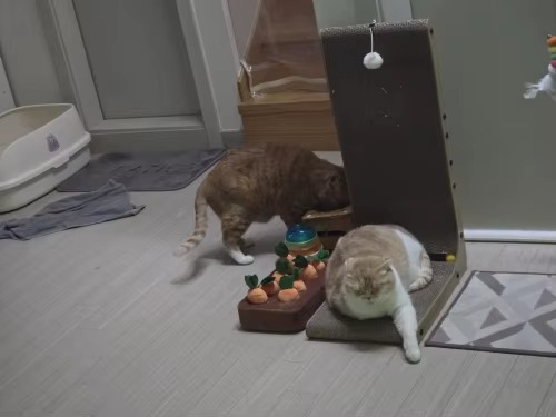 <h2>Loved by everyone, everywhere. Don't miss out.</h2>