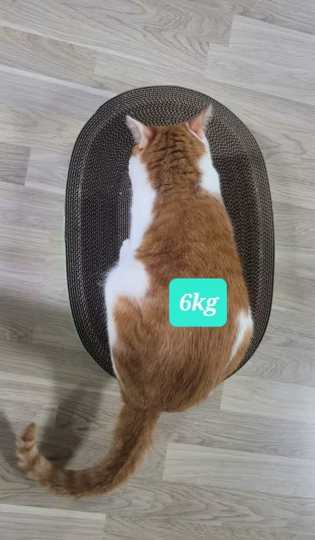 <h2>Loved by everyone, everywhere. Don't miss out.</h2>