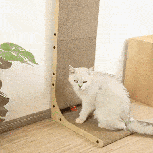 Kat gebruikt verticale houten krabplank – demonstratie van krabfunctie en design