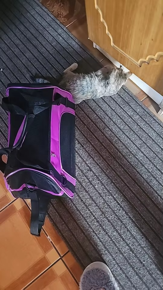 <h2>Loved by everyone, everywhere. Don't miss out.</h2>