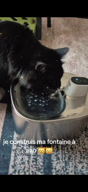 <h2>Loved by everyone, everywhere. Don't miss out.</h2>