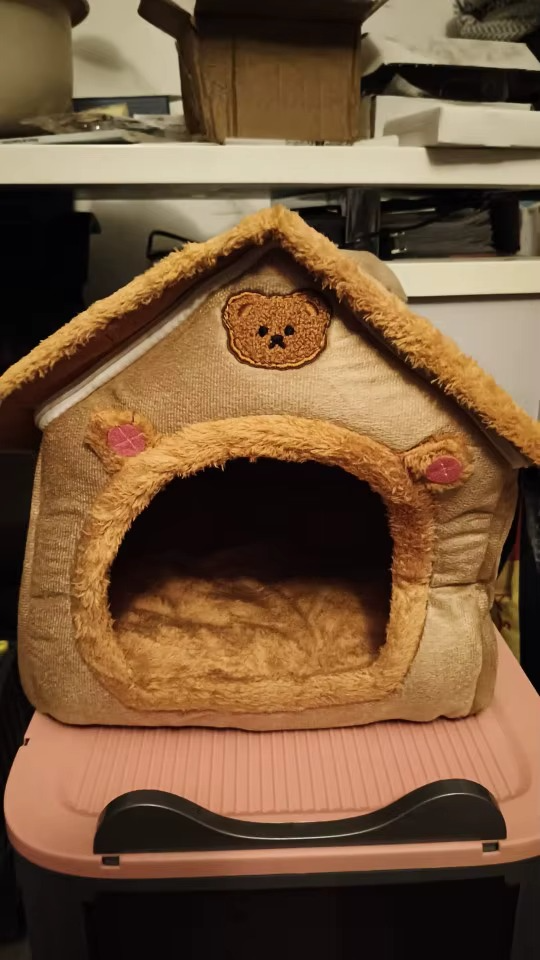 <h2>Loved by everyone, everywhere. Don't miss out.</h2>