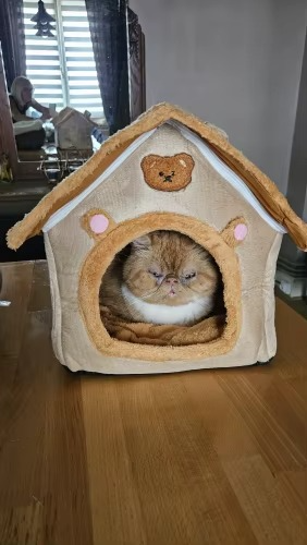 <h2>Loved by everyone, everywhere. Don't miss out.</h2>