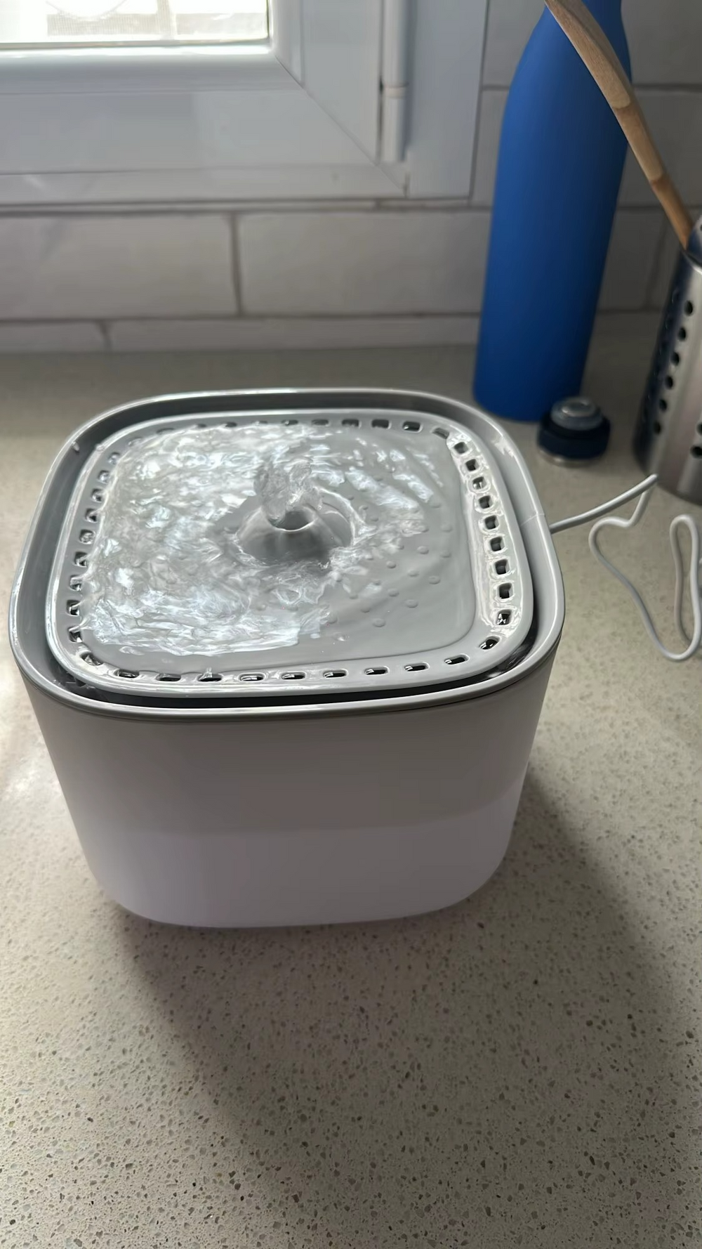 <h2>Loved by everyone, everywhere. Don't miss out.</h2>