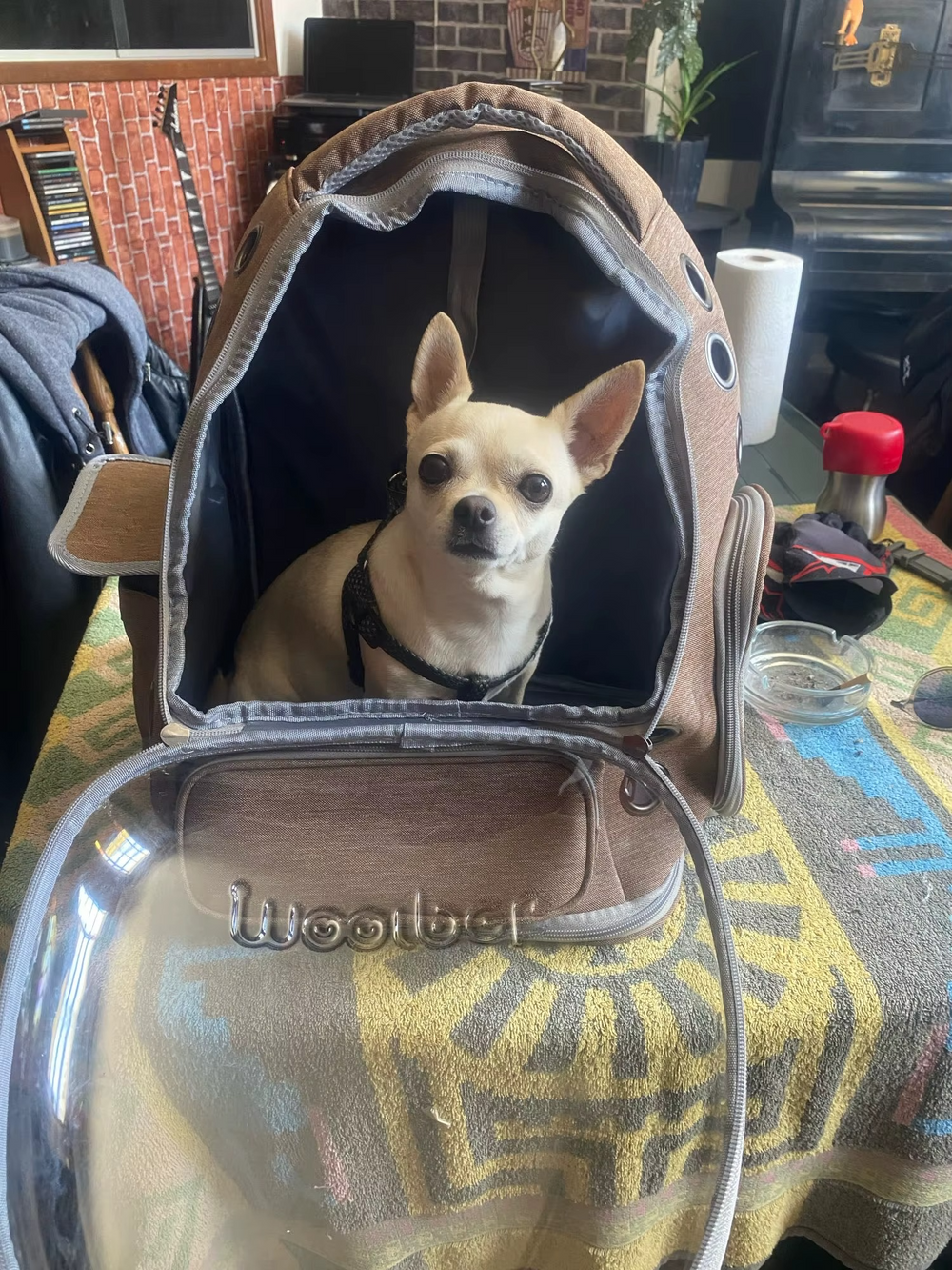 <h2>Loved by everyone, everywhere. Don't miss out.</h2>