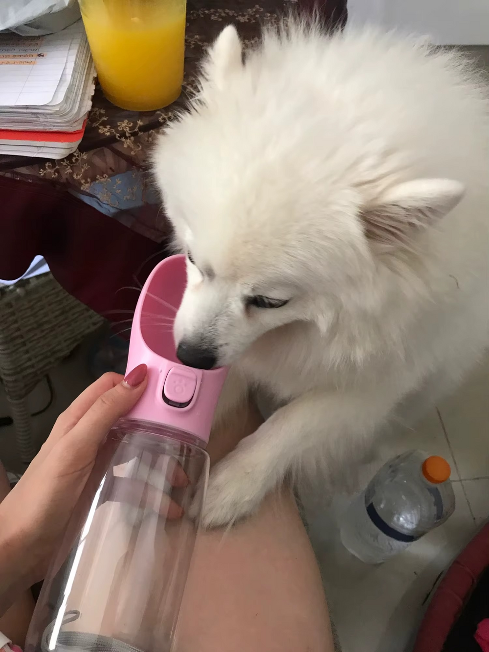 <h2>Loved by everyone, everywhere. Don't miss out.</h2>