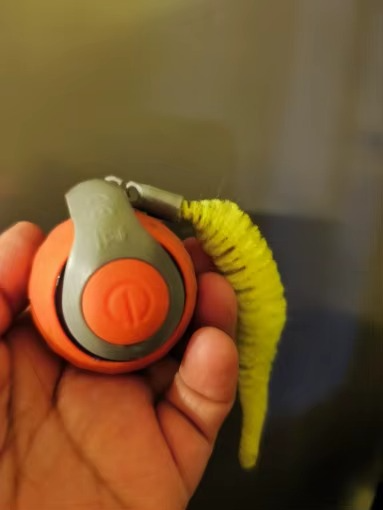 <h2>Loved by everyone, everywhere. Don't miss out.</h2>