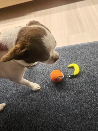 <h2>Loved by everyone, everywhere. Don't miss out.</h2>