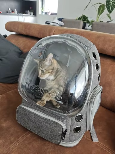 <h2>Loved by everyone, everywhere. Don't miss out.</h2>