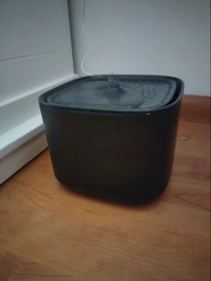 <h2>Loved by everyone, everywhere. Don't miss out.</h2>