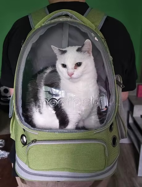 <h2><strong>Loved by everyone, everywhere. Don't miss out.</strong></h2>