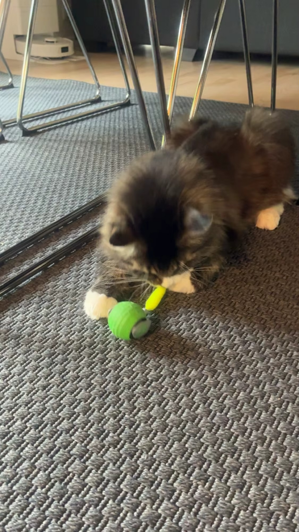 <h2><strong>Loved by everyone, everywhere. Don't miss out.</strong></h2>