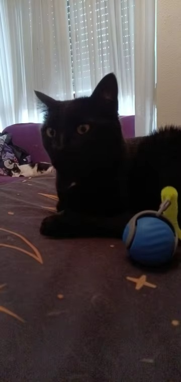 <h2>Loved by everyone, everywhere. Don't miss out.</h2>