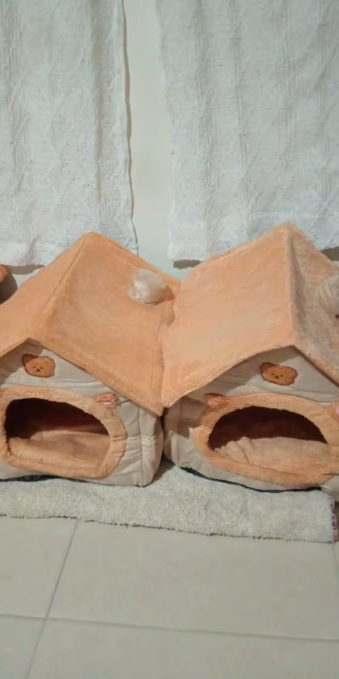 <h2><strong>Loved by everyone, everywhere. Don't miss out.</strong></h2>