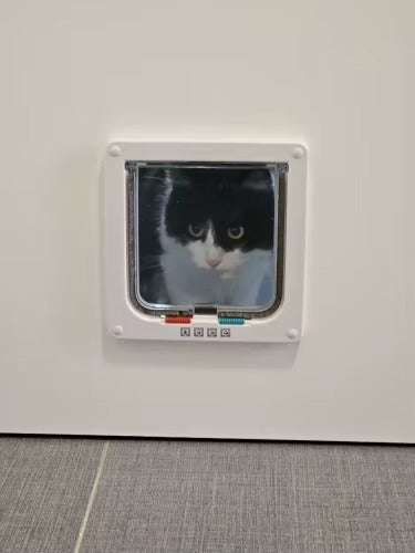 <h2>Loved by everyone, everywhere. Don't miss out.</h2>