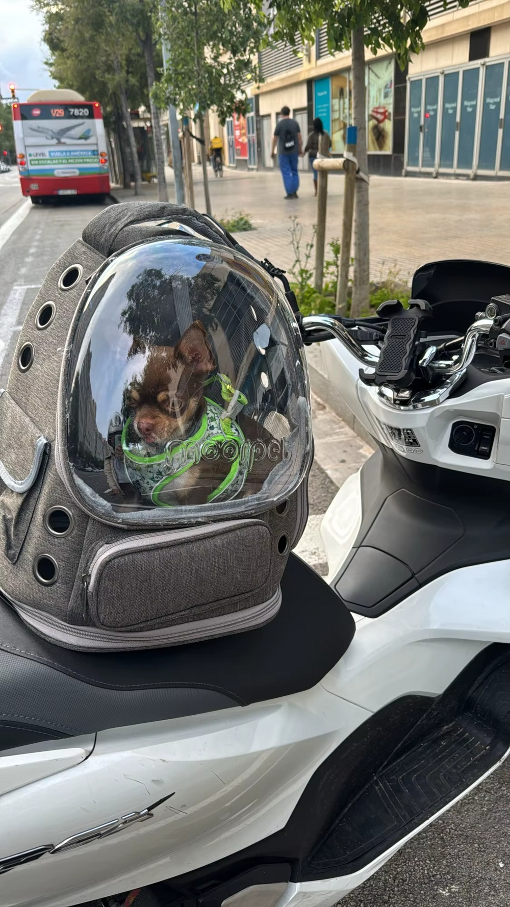 <h2>Loved by everyone, everywhere. Don't miss out.</h2>