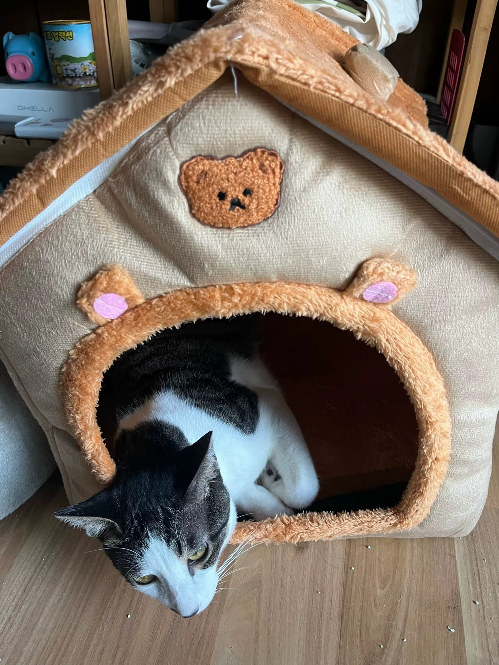 <h2><strong>Loved by everyone, everywhere. Don't miss out.</strong></h2>