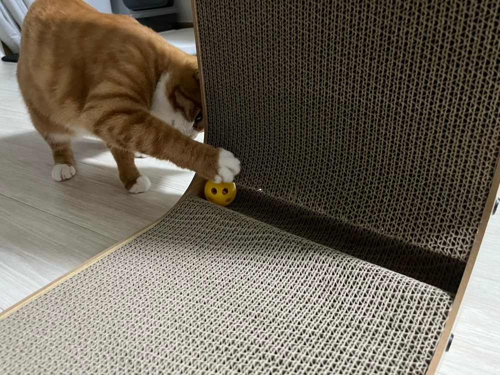 <h2>Loved by everyone, everywhere. Don't miss out.</h2>