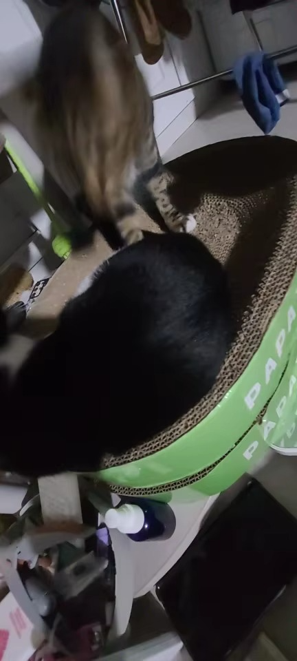 <h2><strong>Loved by everyone, everywhere. Don't miss out.</strong></h2>