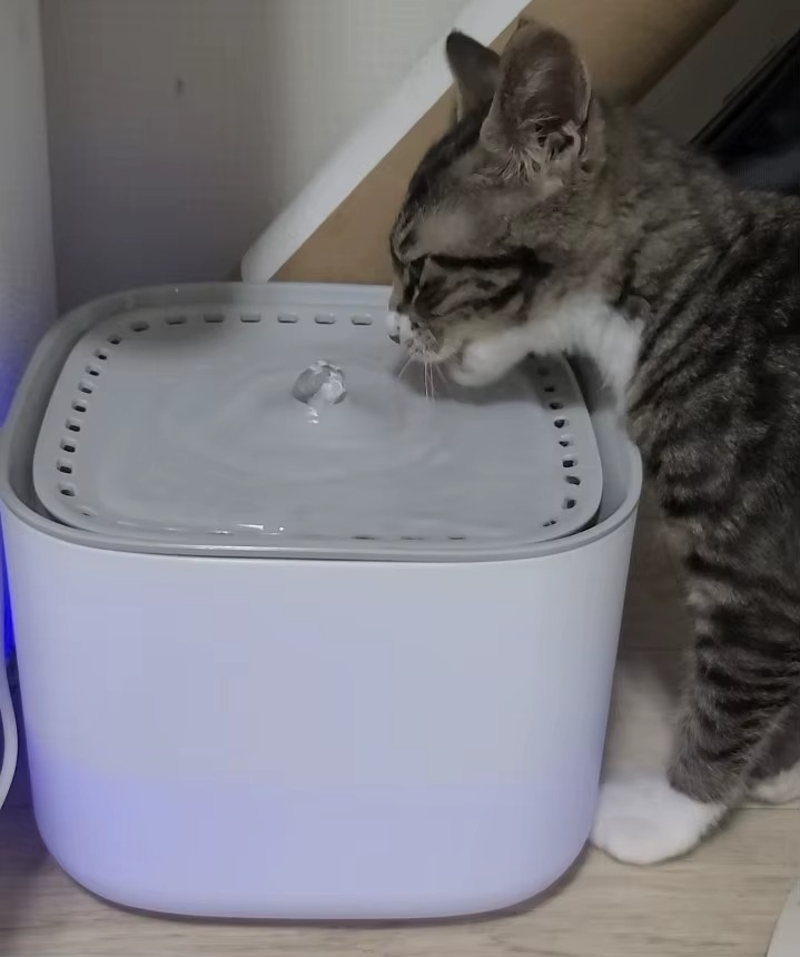 <h2>Loved by everyone, everywhere. Don't miss out.</h2>