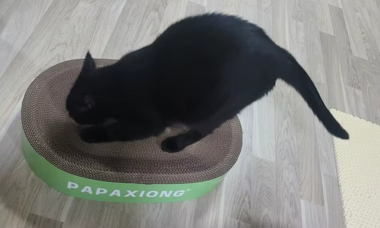 <h2><strong>Loved by everyone, everywhere. Don't miss out.</strong></h2>