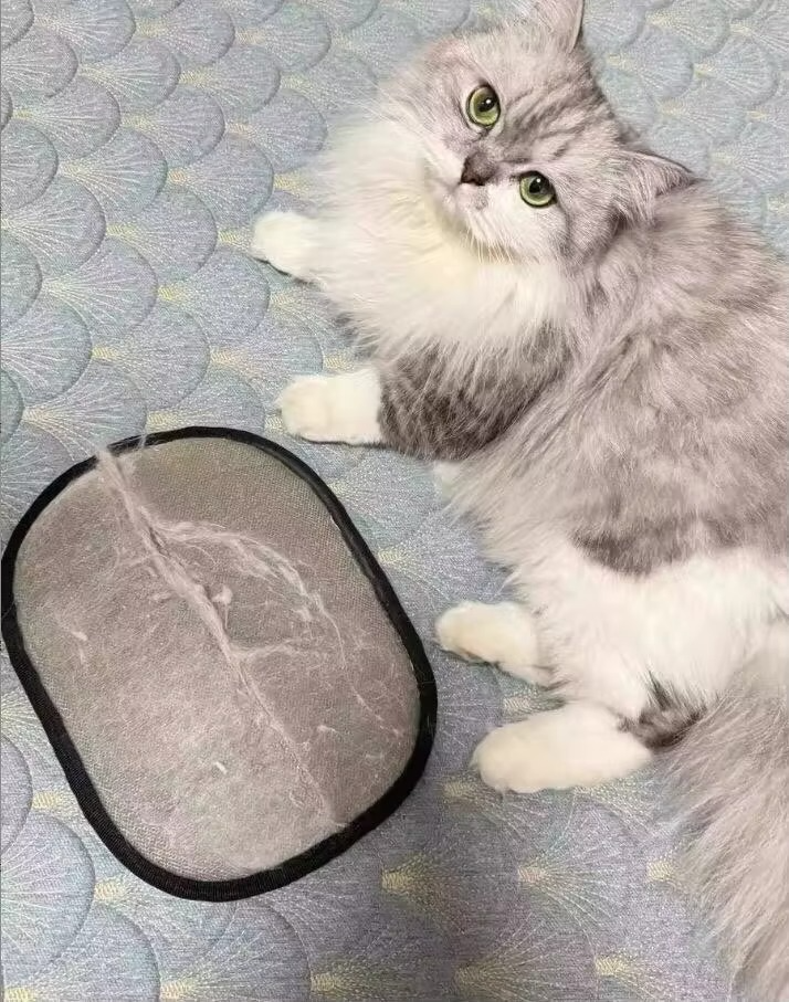 <h2>Loved by everyone, everywhere. Don't miss out.</h2>