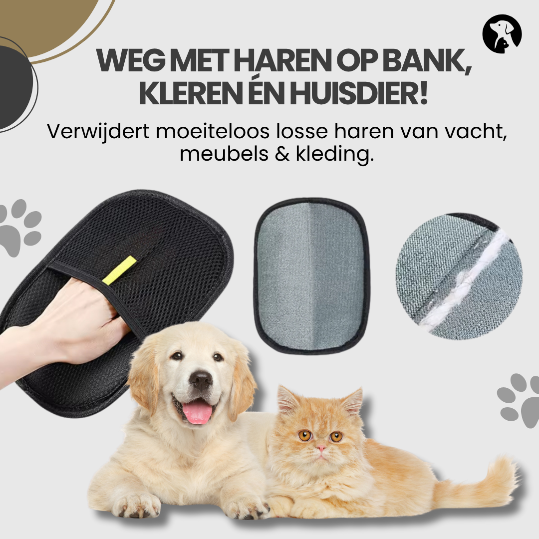 Voorbeeld van honden en katten bij gebruik van haarverwijderhandschoen