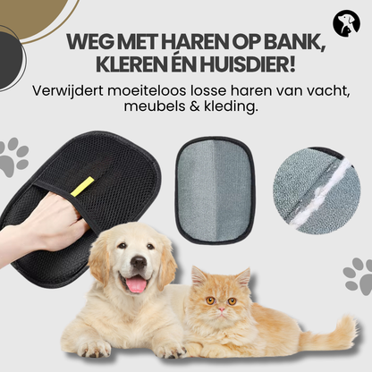Voorbeeld van honden en katten bij gebruik van haarverwijderhandschoen