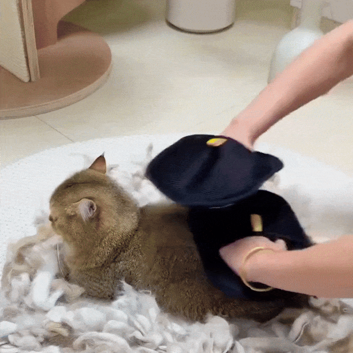 Haarverwijderaar voor katten in gebruik