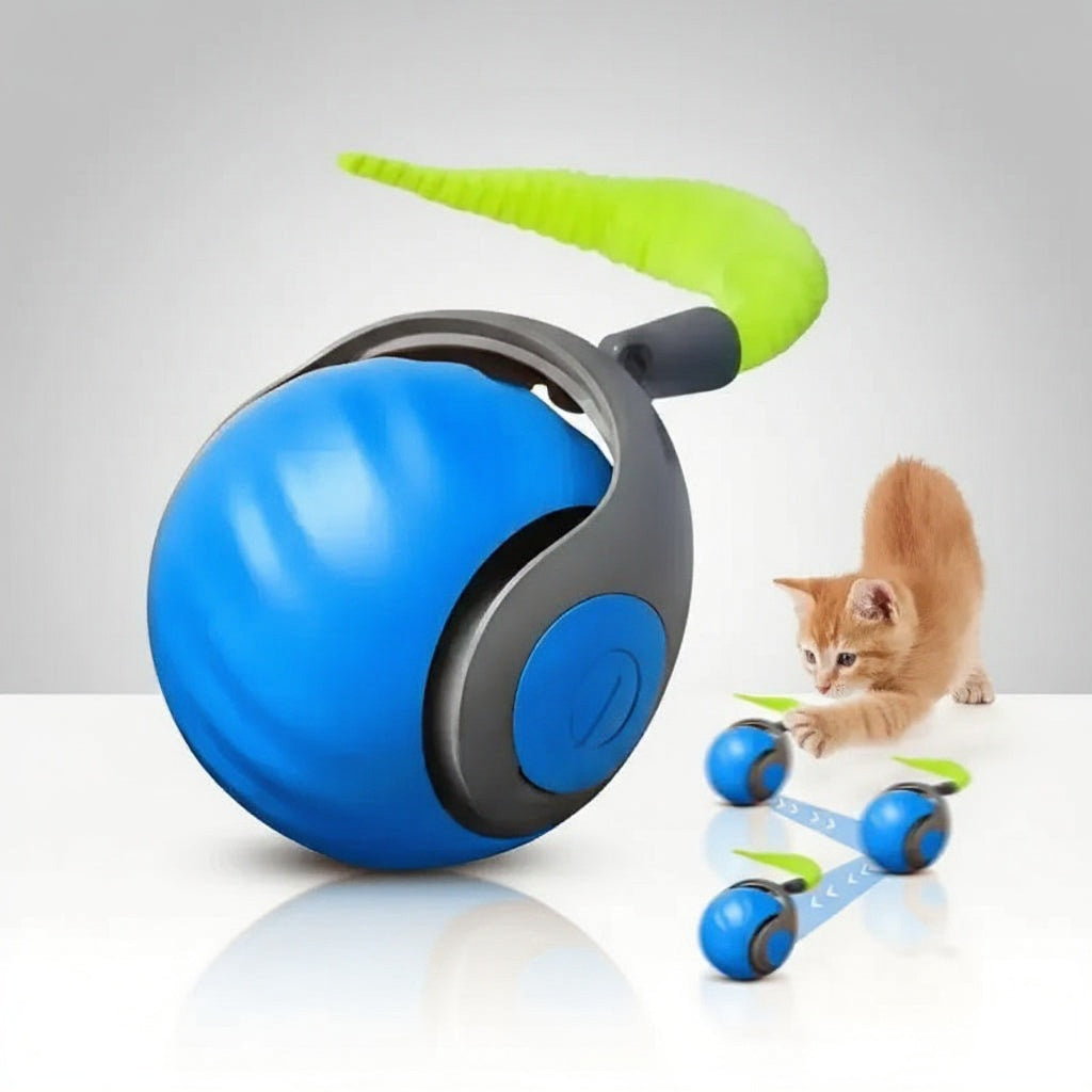 Kat speelt met interactieve speelgoed bal binnenshuis