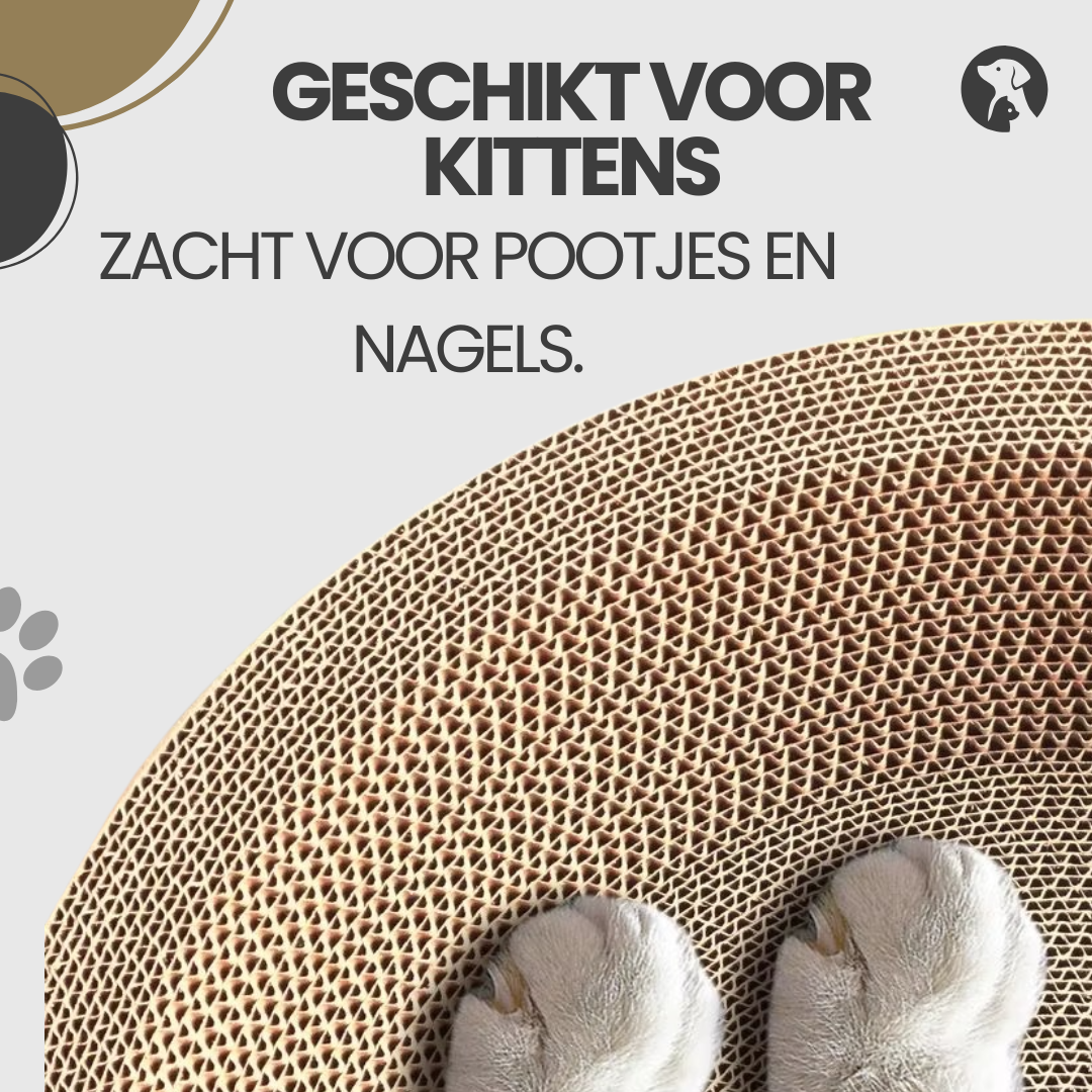 Kattenkrabmand geschikt voor kittens – zacht voor pootjes en nagels, veilig in gebruik.