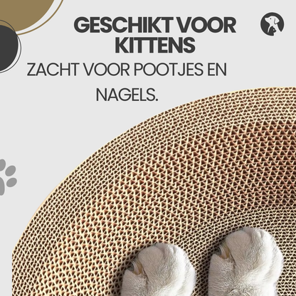 Kattenkrabmand geschikt voor kittens – zacht voor pootjes en nagels, veilig in gebruik.