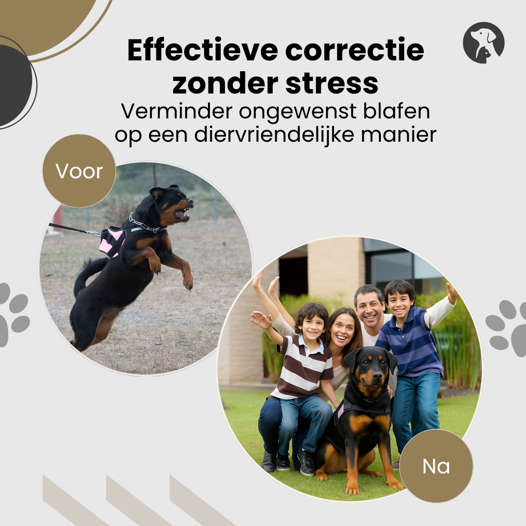 Effectieve hondencorrectie zonder stress door gebruik van ultrasonic geluidstechnologie.